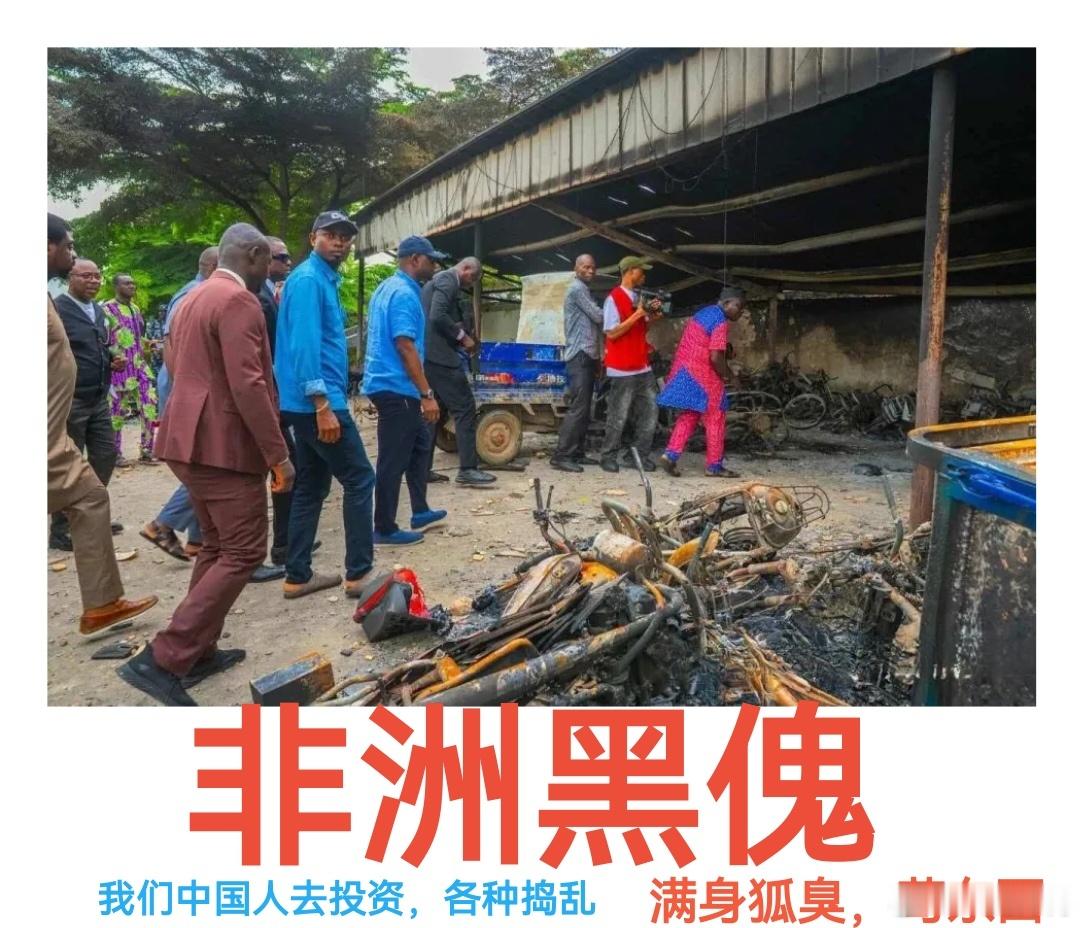 认知 黑非洲，满身狐臭，恶心至极永远不要正眼看这帮黑傀，永远不要帮助可怜这些不是