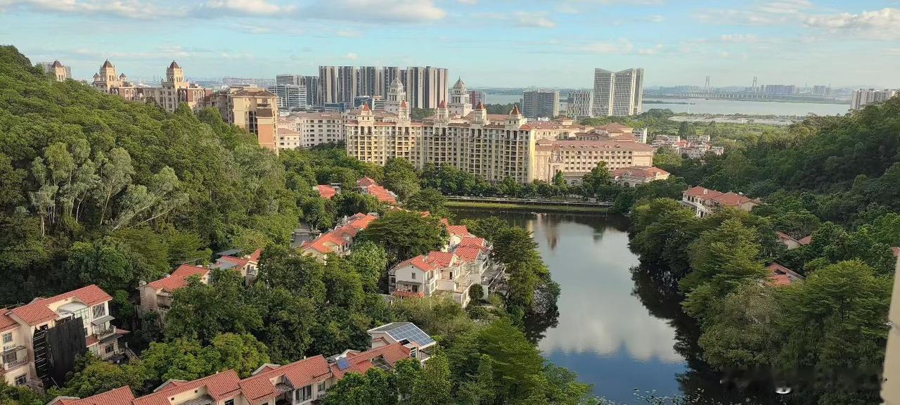 本来有可能成为南沙景色环境还有 fs 最好的楼盘，甚至有可能搞成南沙一个难得的养