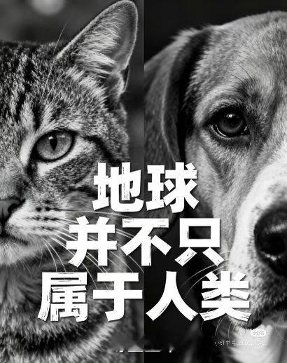 揭阳未成年残忍虐杀狗妈妈一家90%的SRF都是从虐杀动物开始的 