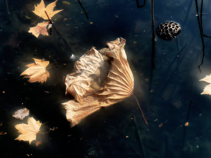 跨年冷空气发威，元旦要下雪？