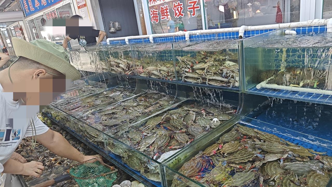 我昨天上午晚上溜达了两趟小市场，特意去了海鲜摊位。
现在没有开海，螃蟹梭子蟹还是