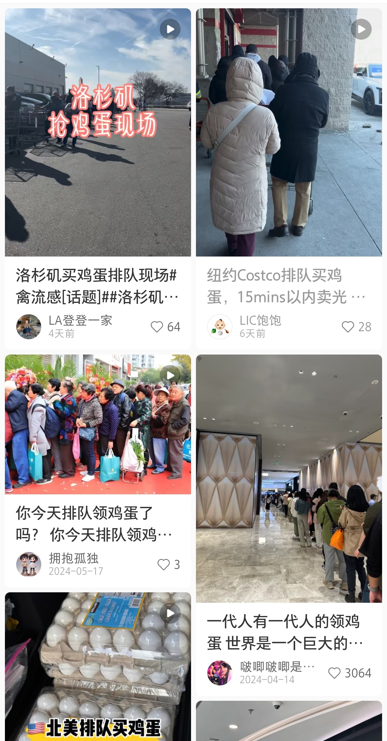 美国鸡蛋20美元一打有人开始养鸡 前几天看这个新闻，还以为是假消息。毕竟咱们这排