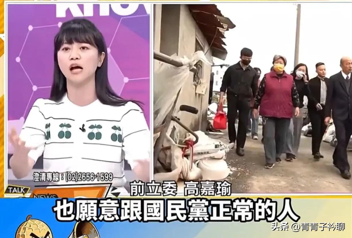绿营名嘴高嘉瑜爆料，台独集团大头目已经视某些国民党人如王惠美、侯友宜等为“正常人
