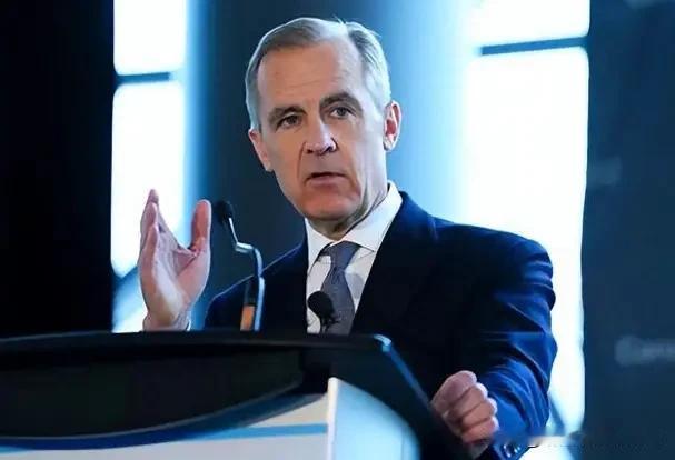 达沃斯的特、卡舌战也算是此次大会的一大亮点，卡尼说出了许多西方国家想说而又不敢说