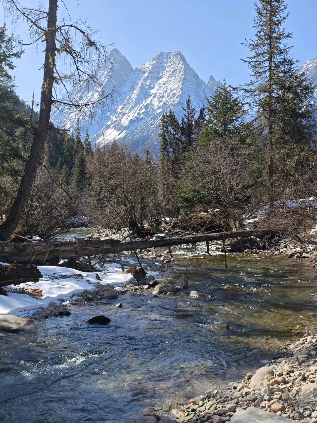 没雪的四姑娘山。。。崩溃😫能帮一个是一个 .