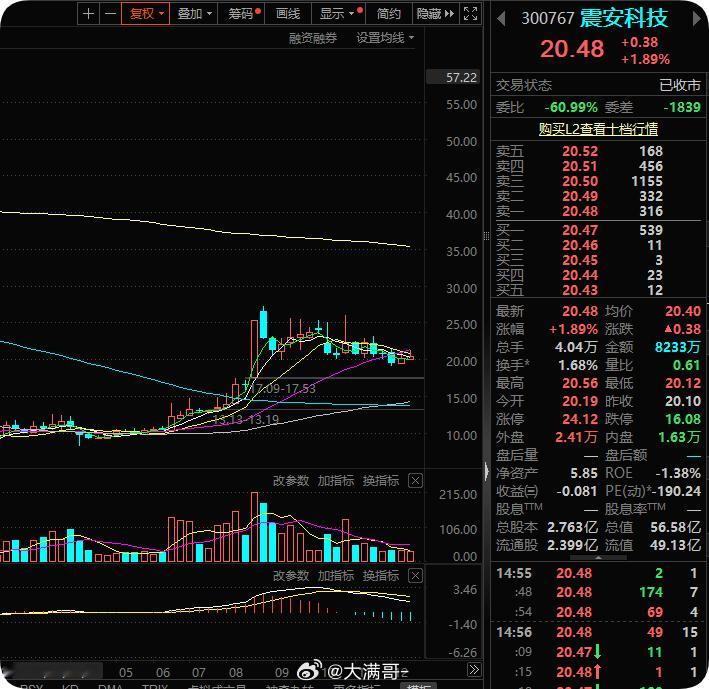 震安科技正处于 