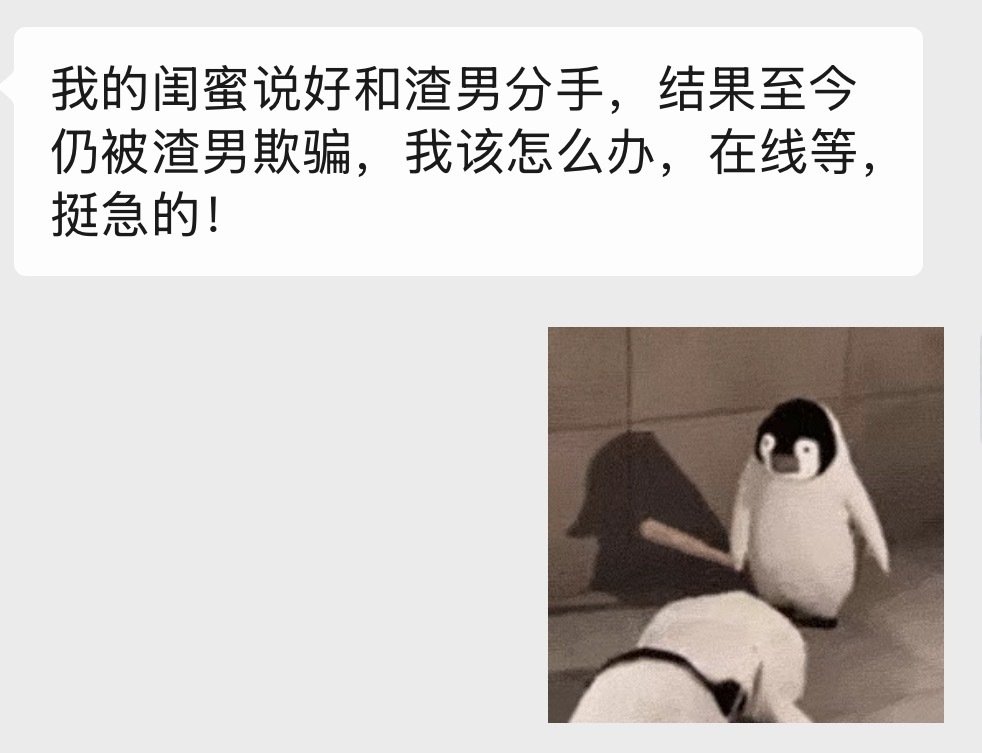 我和g老师的痛苦拉扯已经遭到了深刻嘲讽 