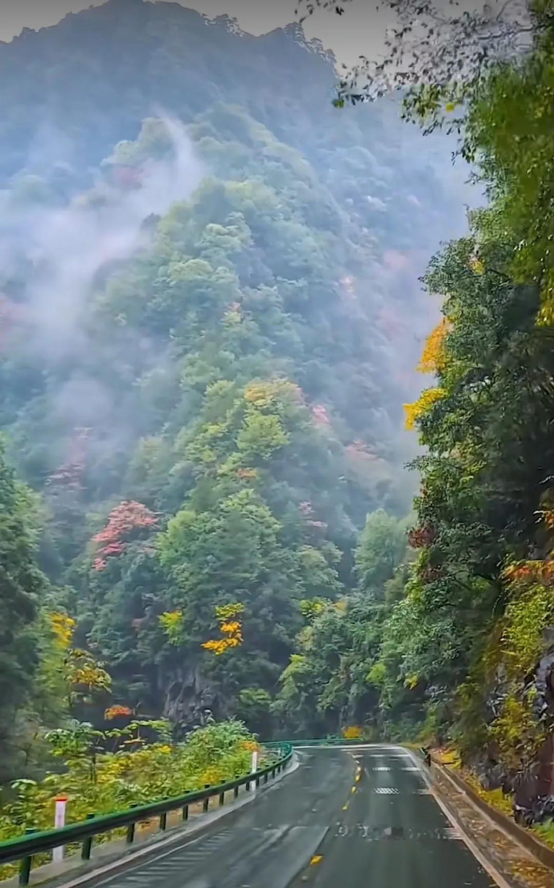 看见这些湿漉漉的五彩的山，我的心就飞出去了。多少次，我奔驰在这样的山间，心旷神怡