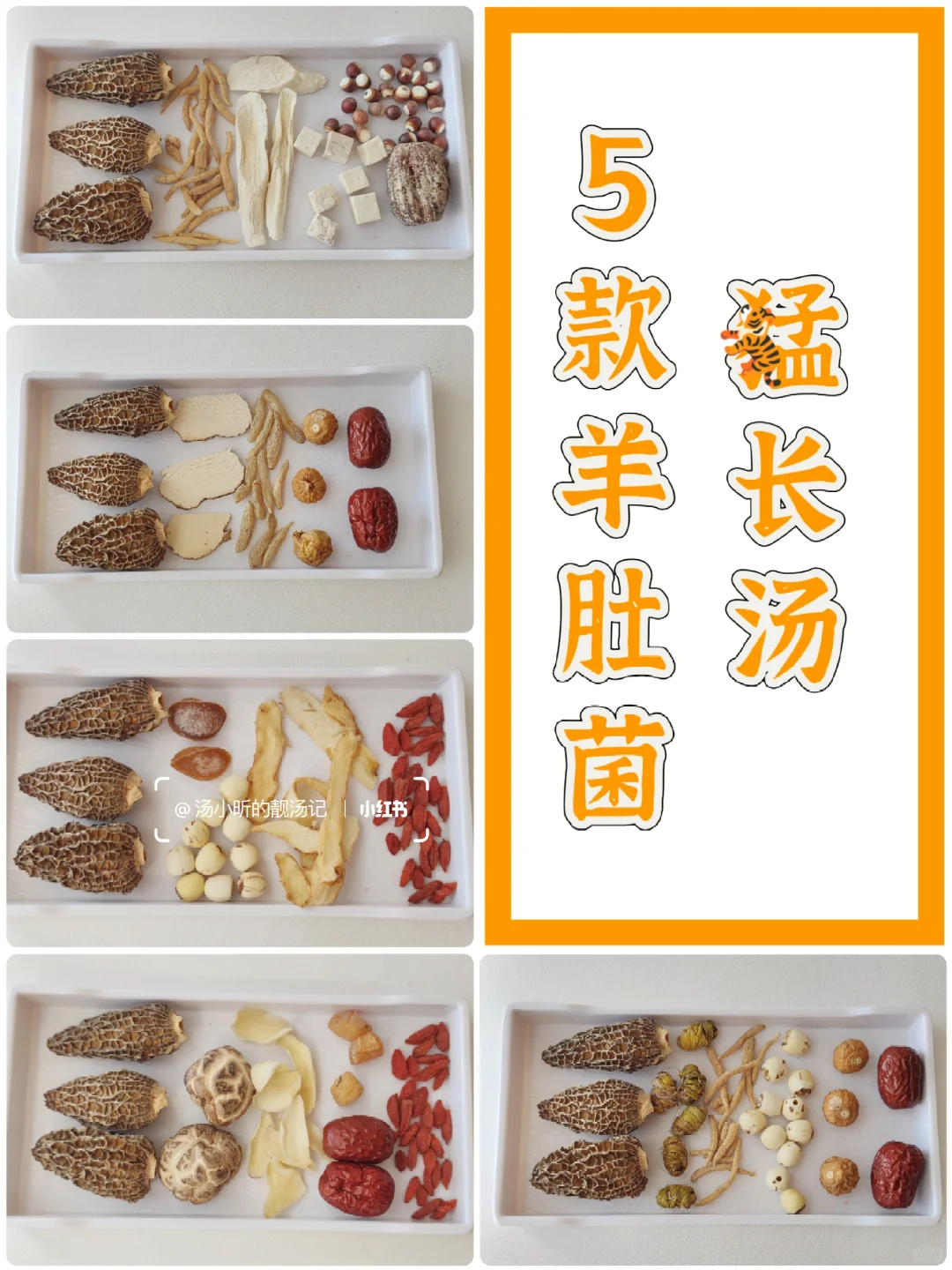 春季5月黄金期，坚持喝羊肚菌成长汤蹿一蹿