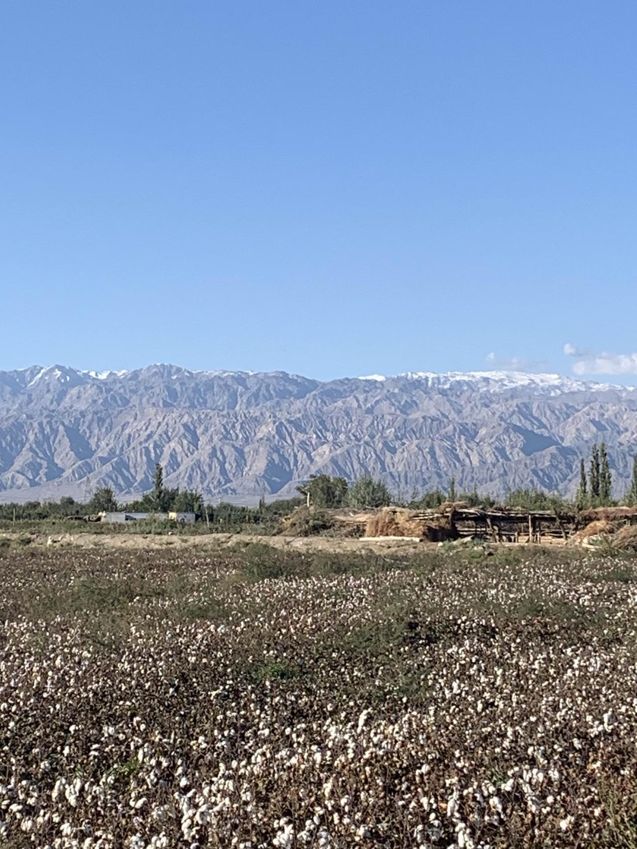 此生必驾318，看到朋友圈里国道318线的绝美风景，这个五一的意义，便不再是单纯