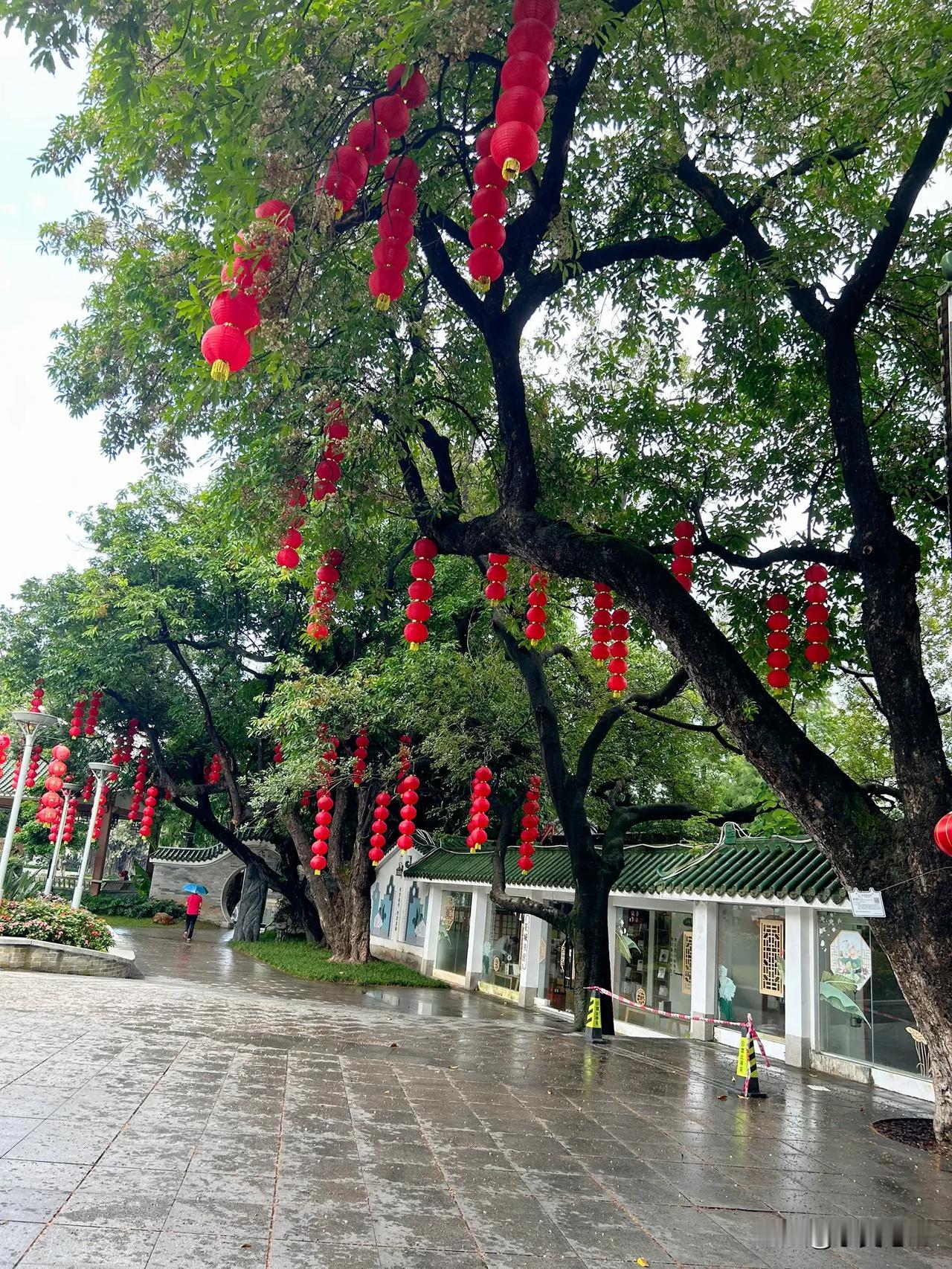 #随手记录夏日风光#
随手一拍，就很夏天～