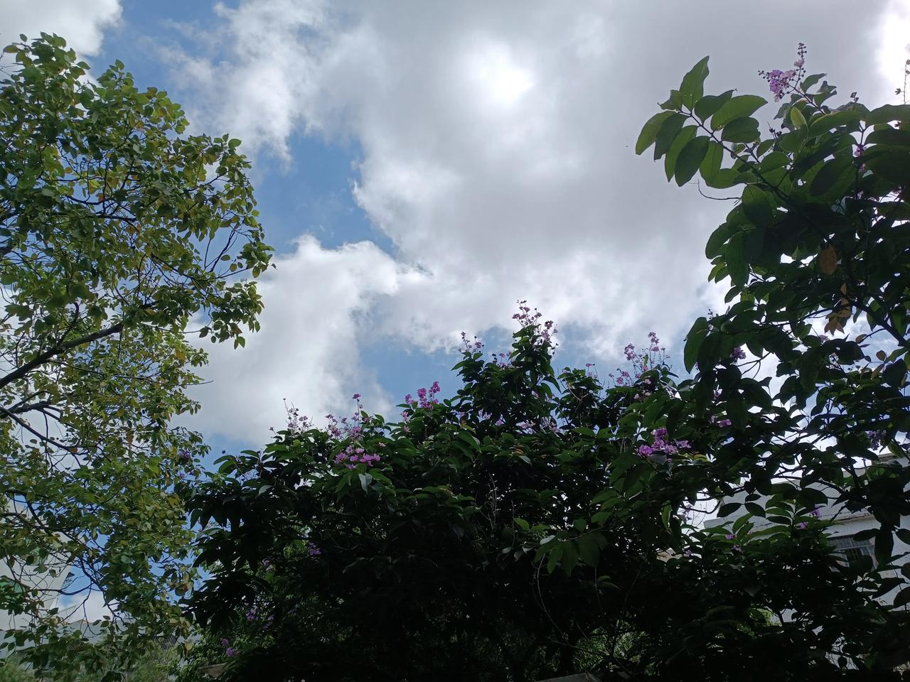 星期三上午
天气晴朗
阳光明媚
有点热
又来煮饭炒菜了
中午好
[送自己一朵花]