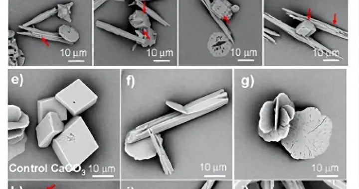 长期自己烧水喝和买桶装水喝，哪种更健康？