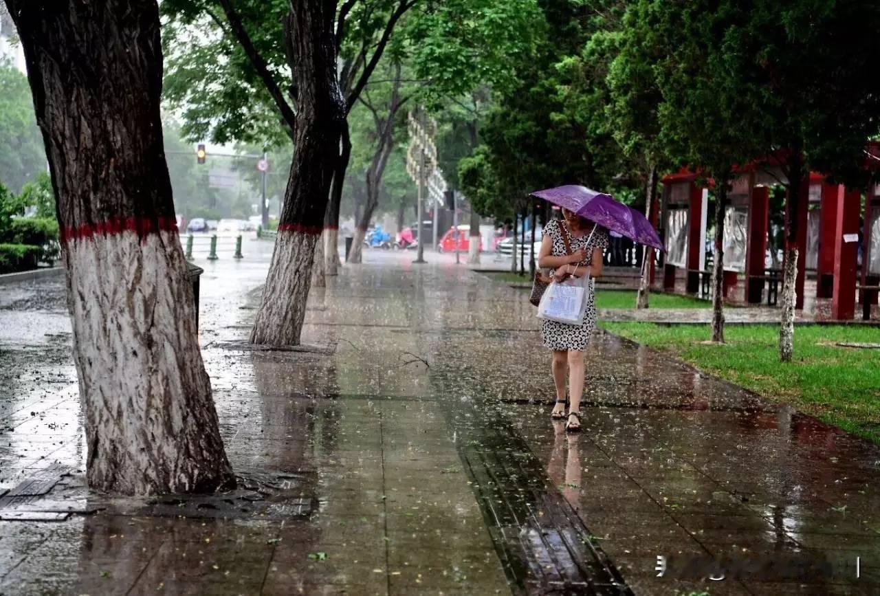 昨夜起，雨便时断时续地下，恰逢小满将至，正是小麦灌浆的关键时节，这是场及时雨。