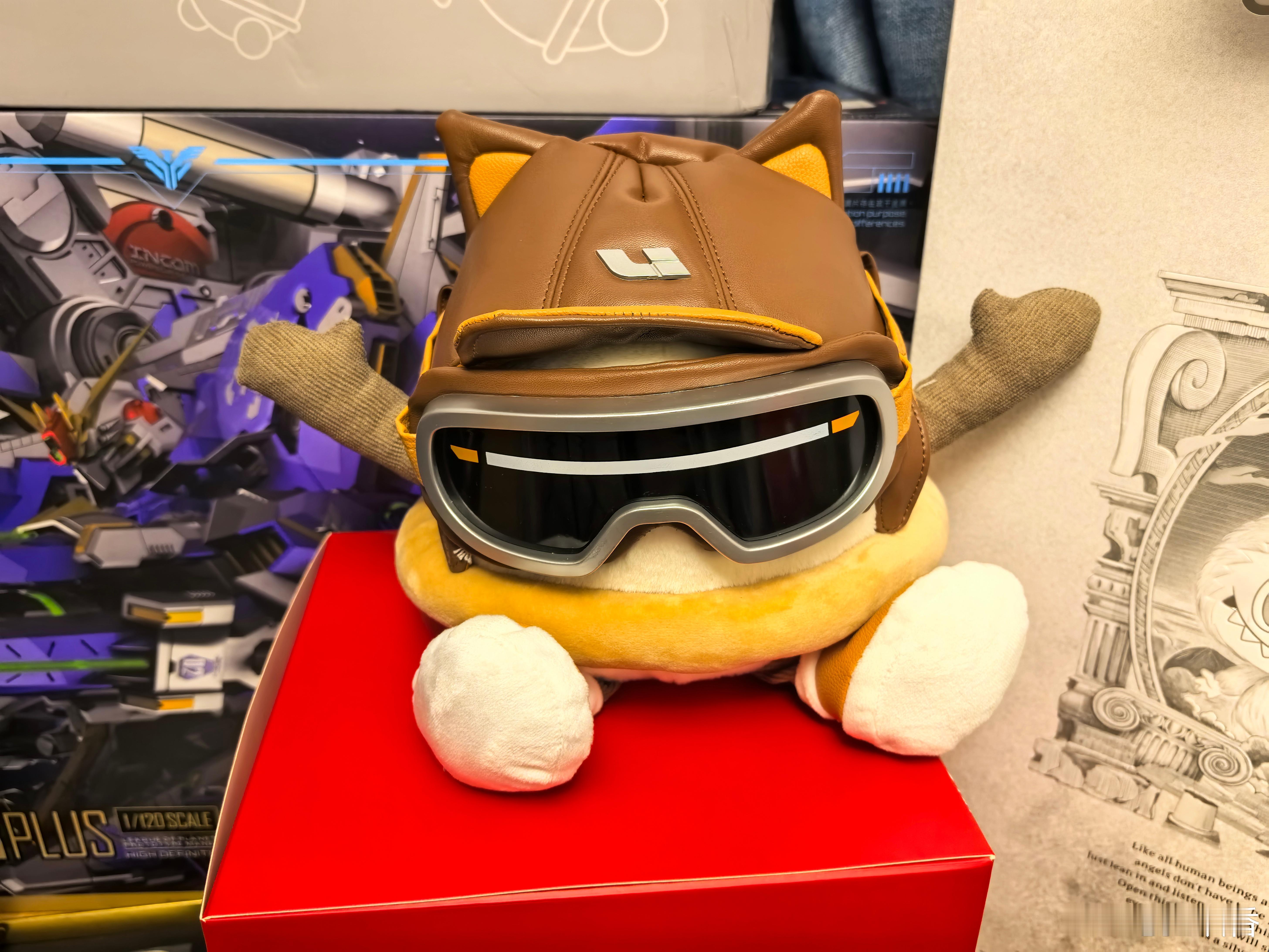 这个飞行员可爱咩 