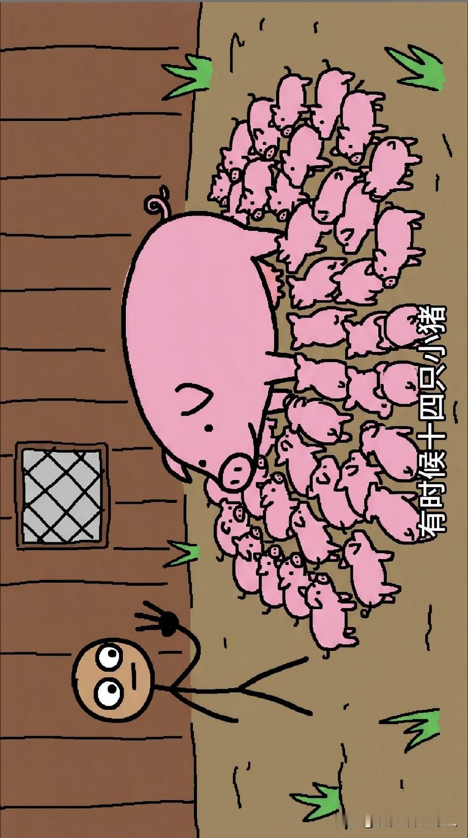 逆向思维，你经常买牛奶，羊奶，猪肉，牛肉，羊肉。但是怎么买不到猪奶？猪奶不能喝吗
