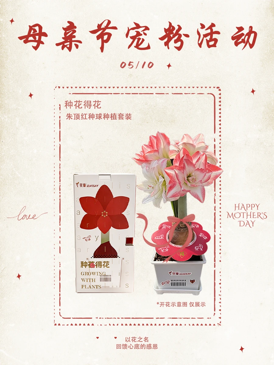 已经懂得妈妈的口是心非