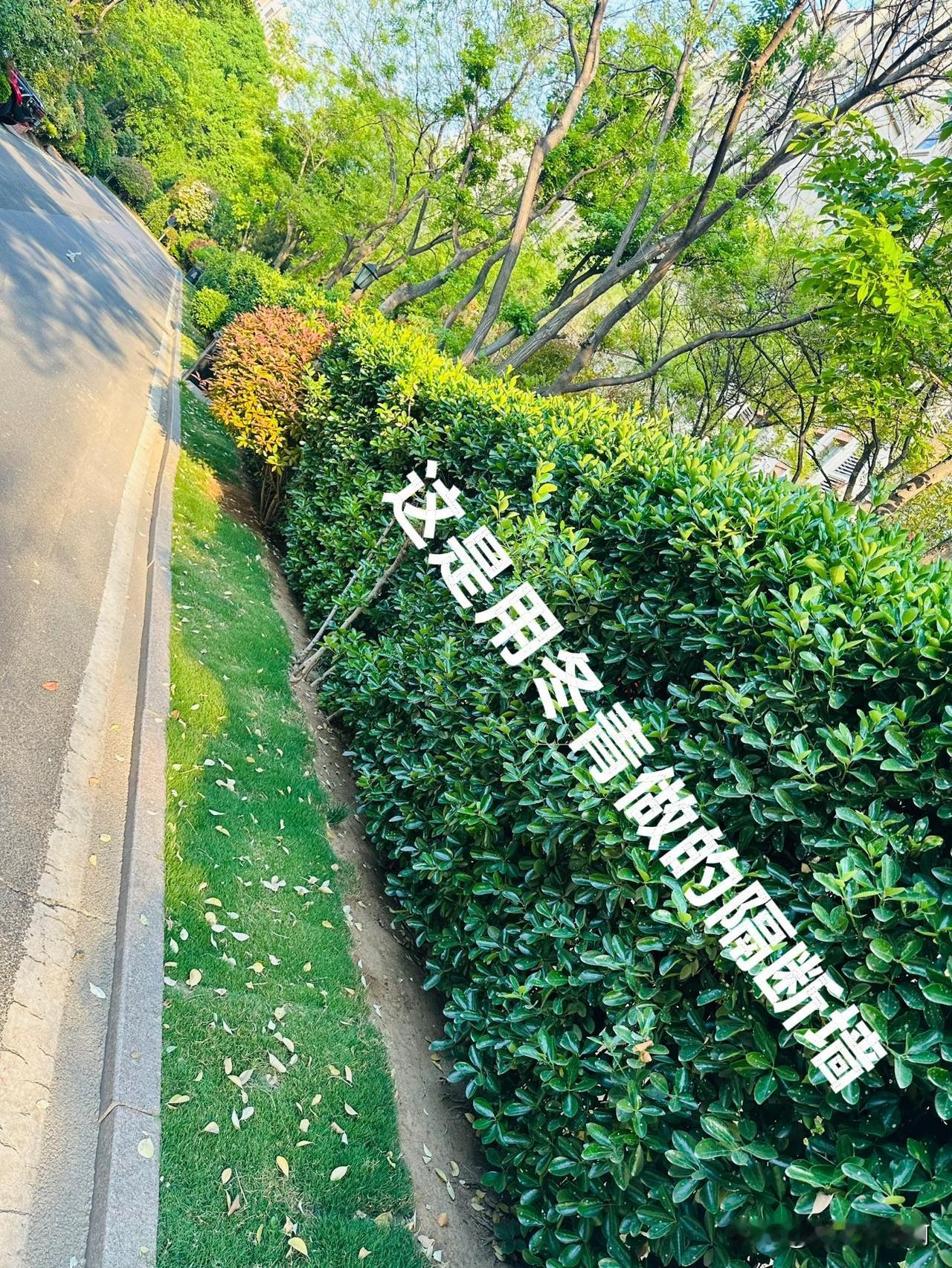 一段墙的战争
一位遛狗的女士跟保洁在“吵架”，其实也不算是吵架，是在抱怨着骂物业