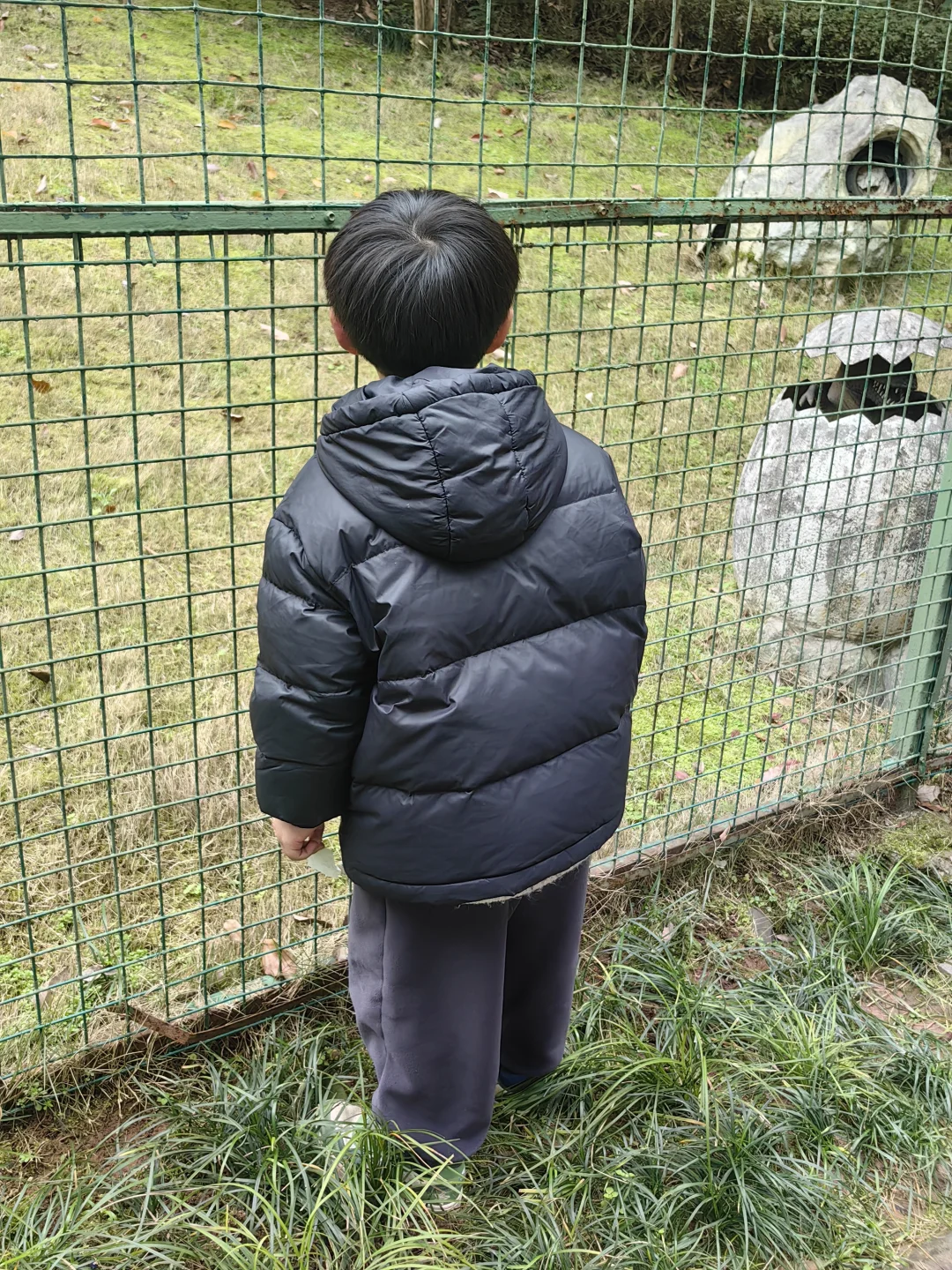 有没有人跟我一样爱吃溏心蛋的。。