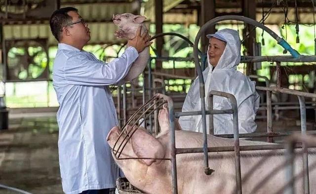 说出来你可能不信，这家企业就是咱们河南的牧原股份，掌舵人秦英林靠的可不是运气，而