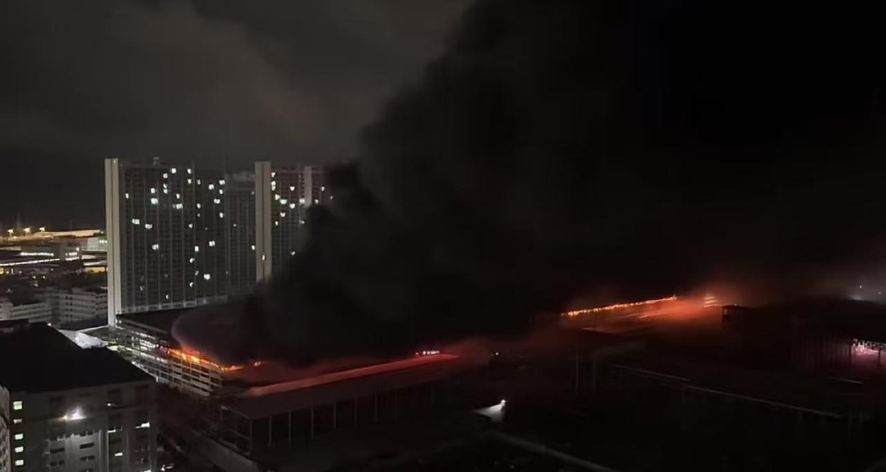 比亚迪火了！