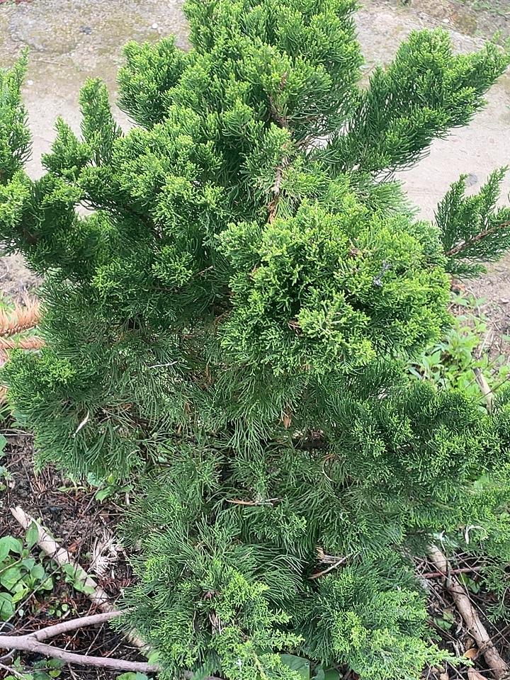 宁愿做个小孩没有任何烦扰