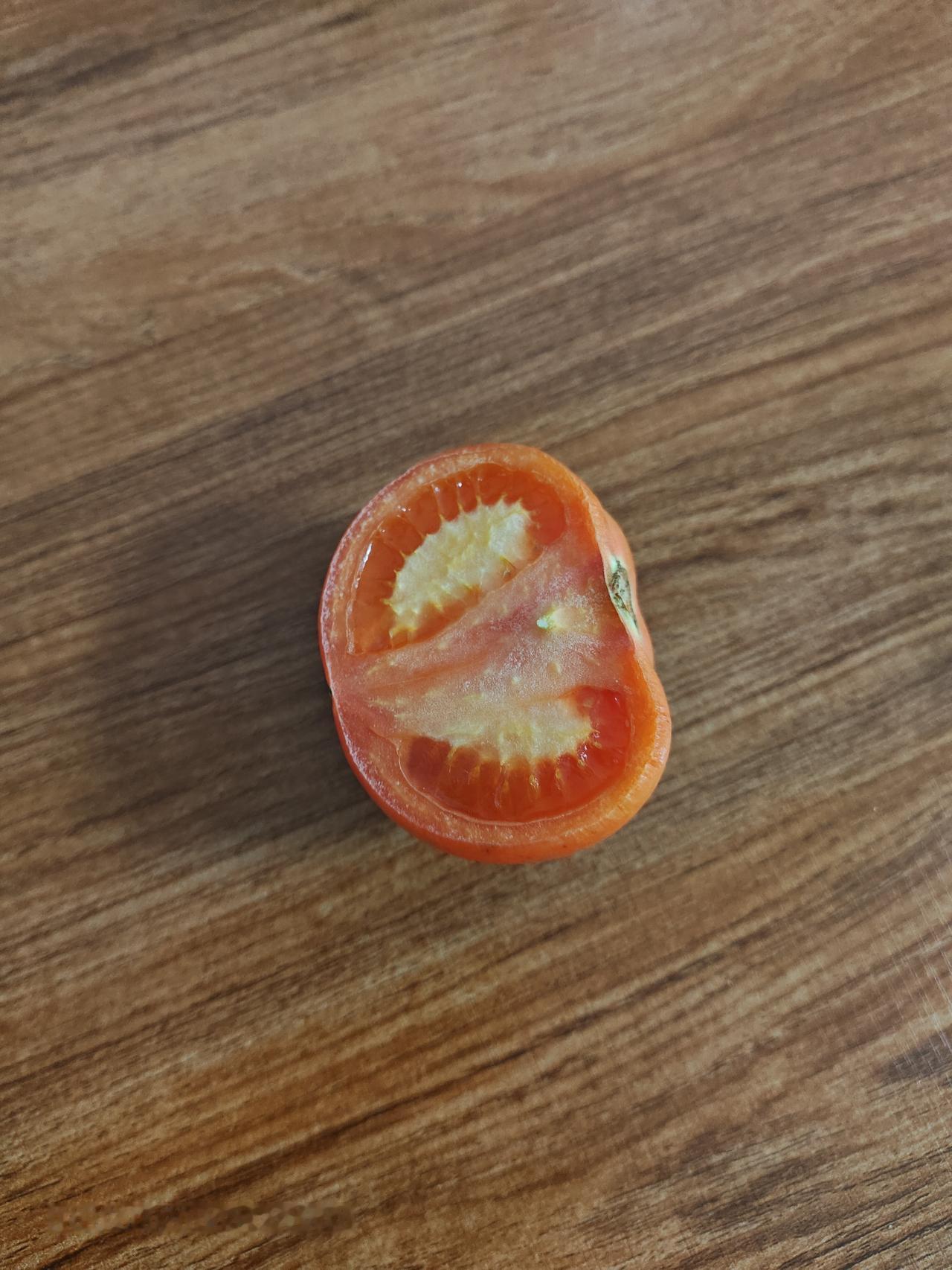 惊了！这西红柿切开两周居然不软不烂，科技与狠活太离谱了

家人们谁懂啊！随手切了