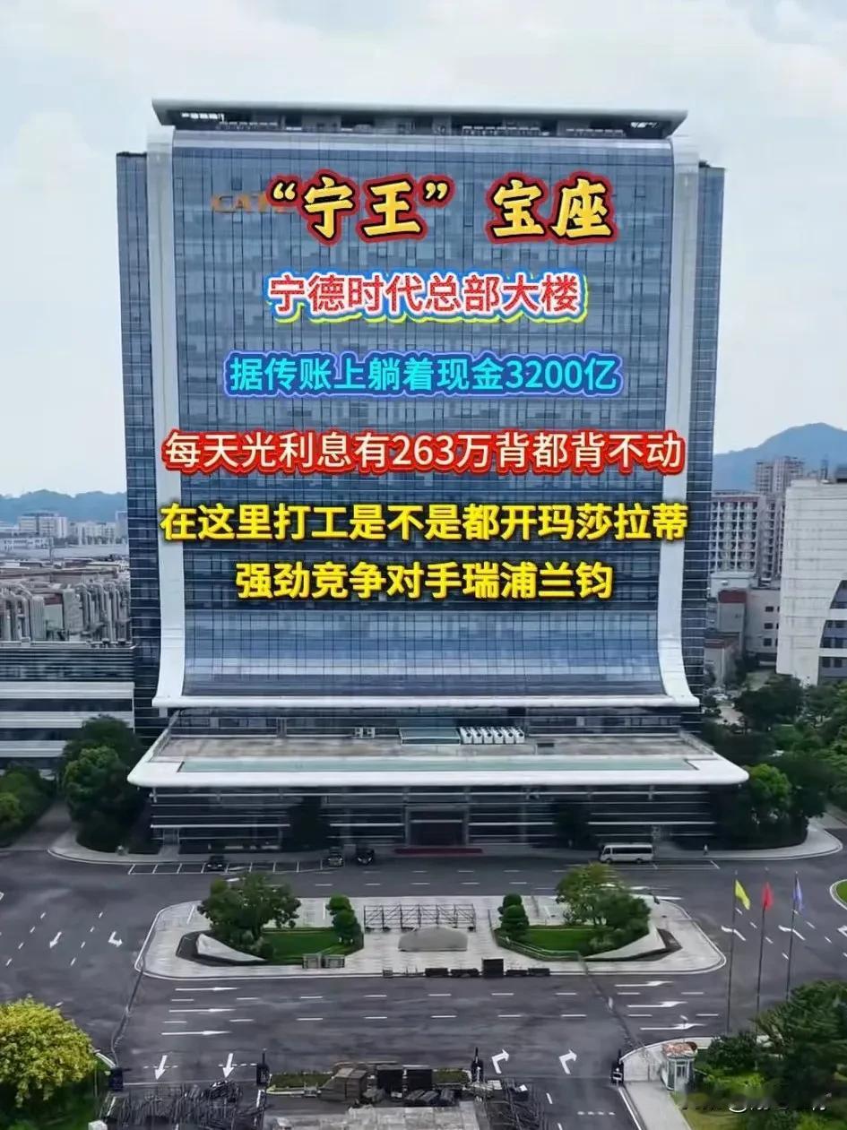 为什么只有宁德时代的电池牛逼，全国各地哪个市没有电池厂吧，又是碳酸又是锂电的，说
