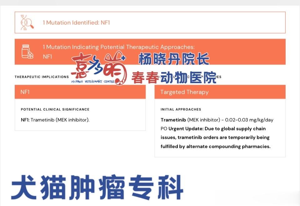 #犬猫肿瘤科#鼻腔腺癌的狗子患者，送检获得的基因突变位点在NF1，推荐靶向药物是