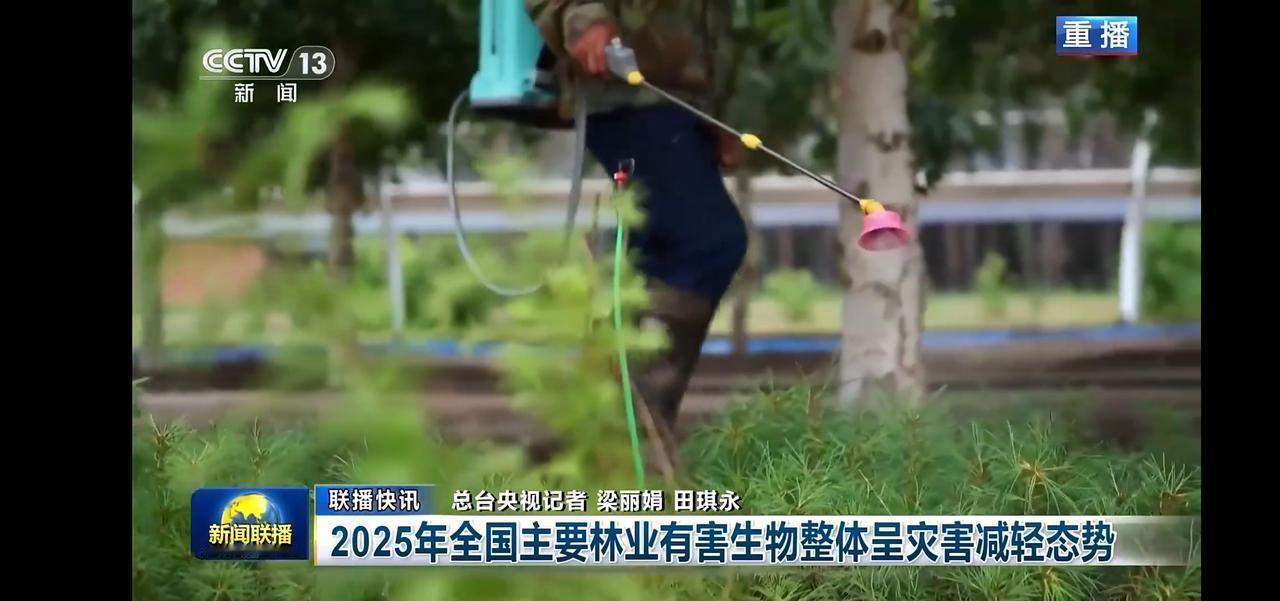 “2025年林业有害生物灾害减轻，守护绿色家园”🌳🌱