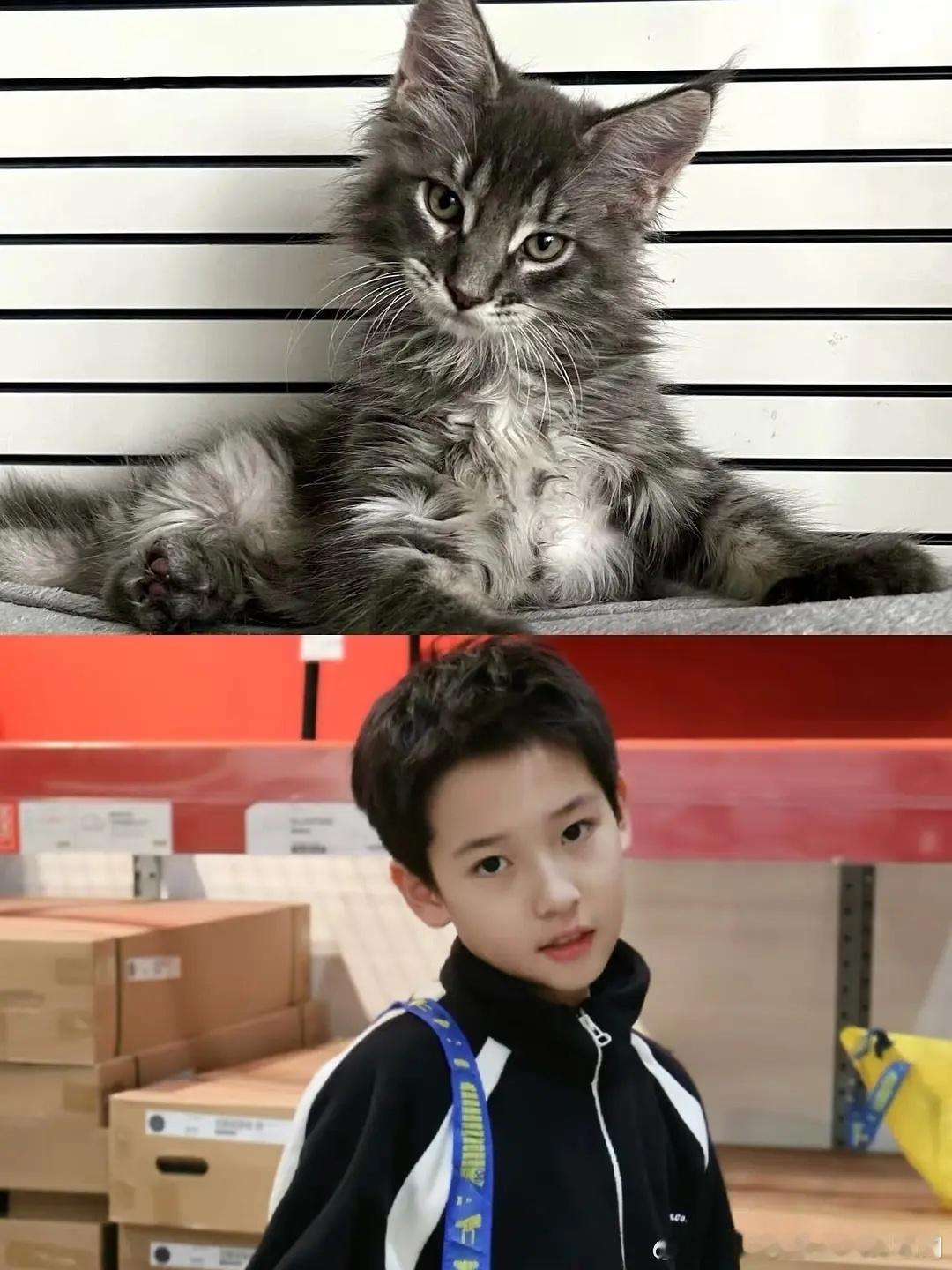 好像啊 