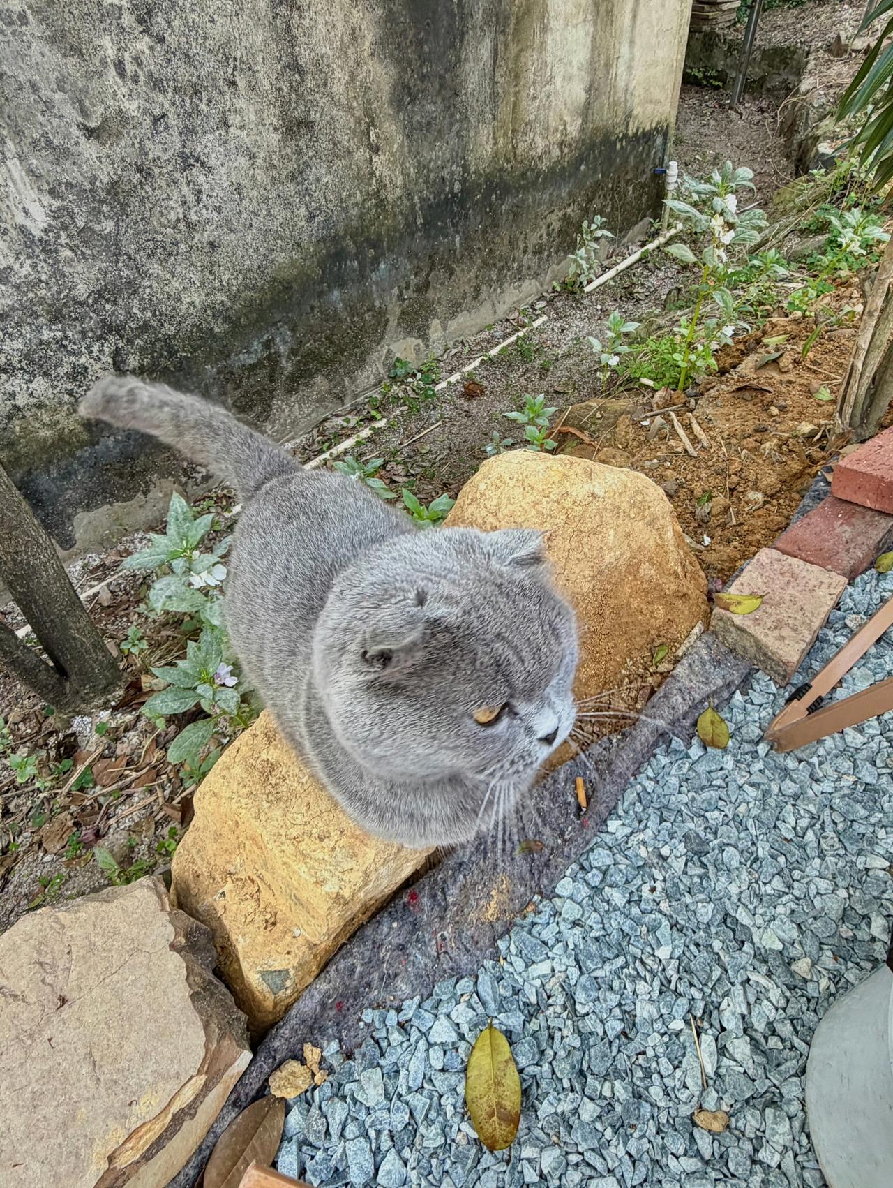一壶茶，一片山，一份悠然。
山内茶香，静听风吟
享一份清欢
