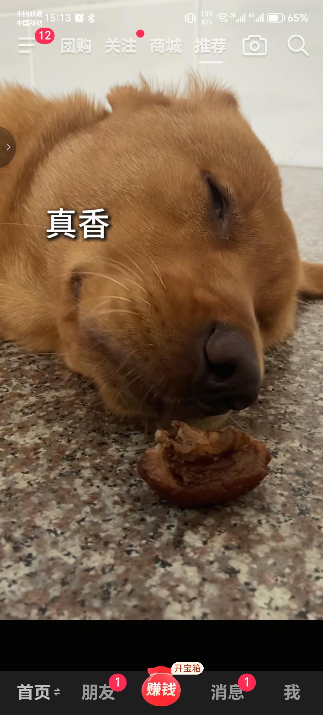 谁能给我面前也放一块“肉”？让我睡醒了也突然幸福一下！