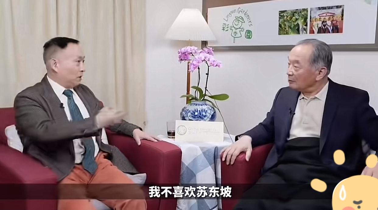 卢麒元跟温铁军说：“我不喜欢苏东坡。”

在一期节目上，卢麒元说：“为什么这么多