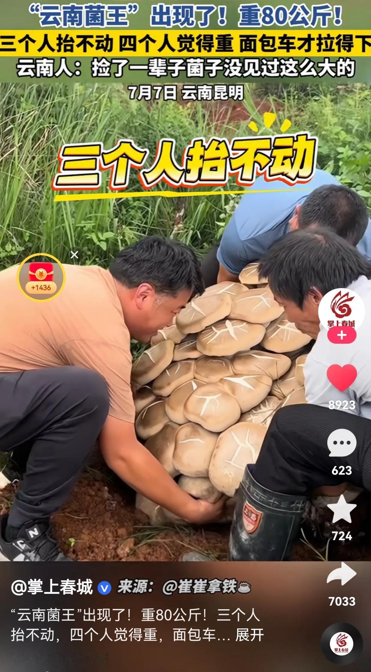 发财了！发财了！从来没有见过这么大的蘑菇，长这么大还是第一次见。

一男子去山上