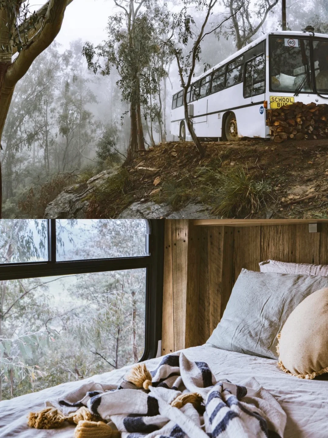 澳大利亚🌲森林中的巴士民宿 氛围感拿捏了