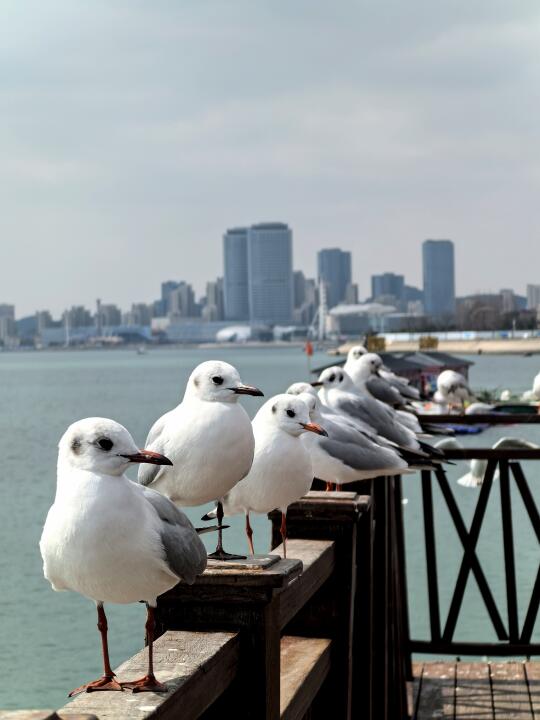 3.5青岛 时至惊蛰 万物萌动