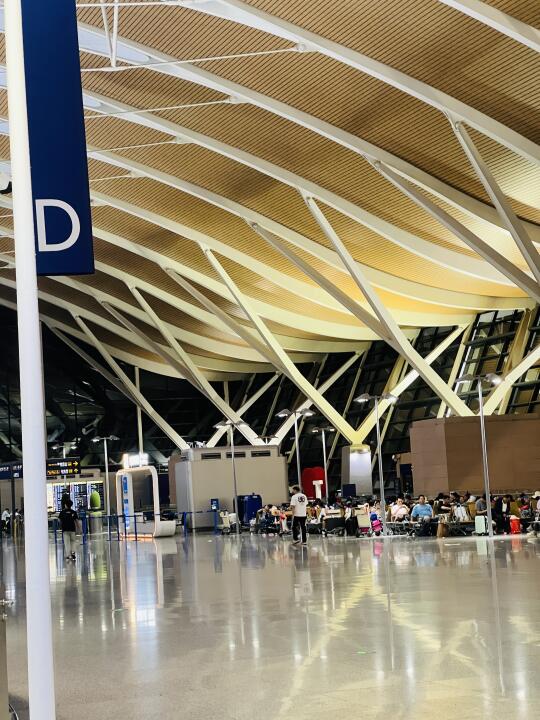 凌晨三点的浦东，遍地是躺的人😭😭