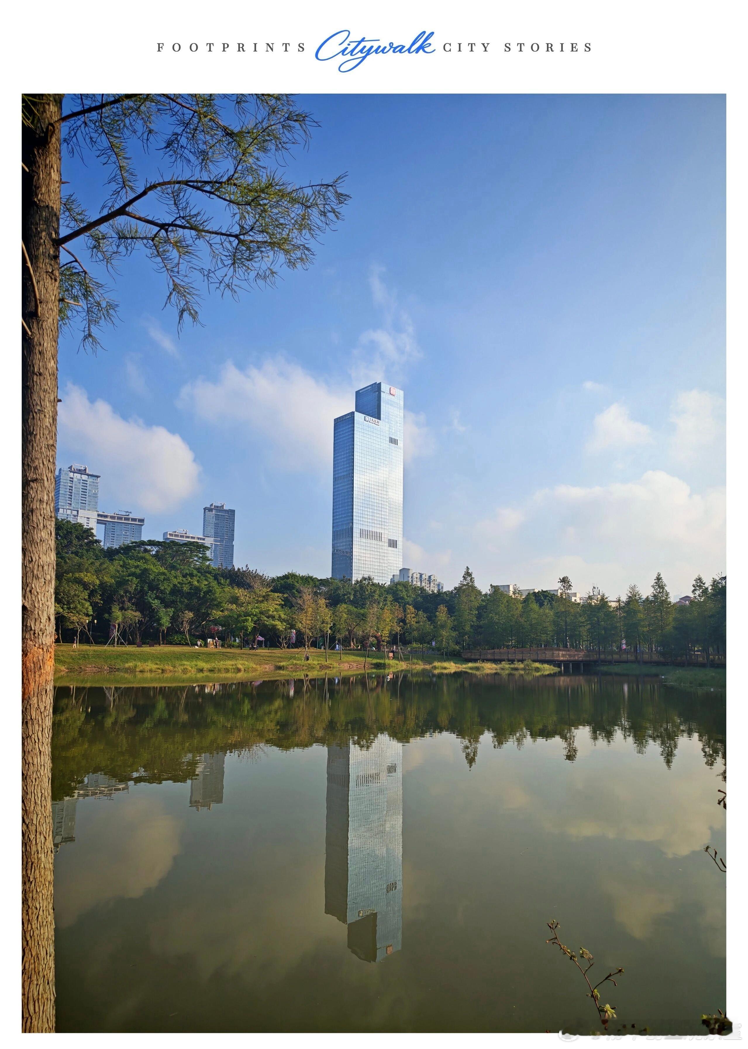 怎样打造自己图书的特色及卖点？借鉴冠军打法先研究和复盘冠军图书成功的原因，学习适