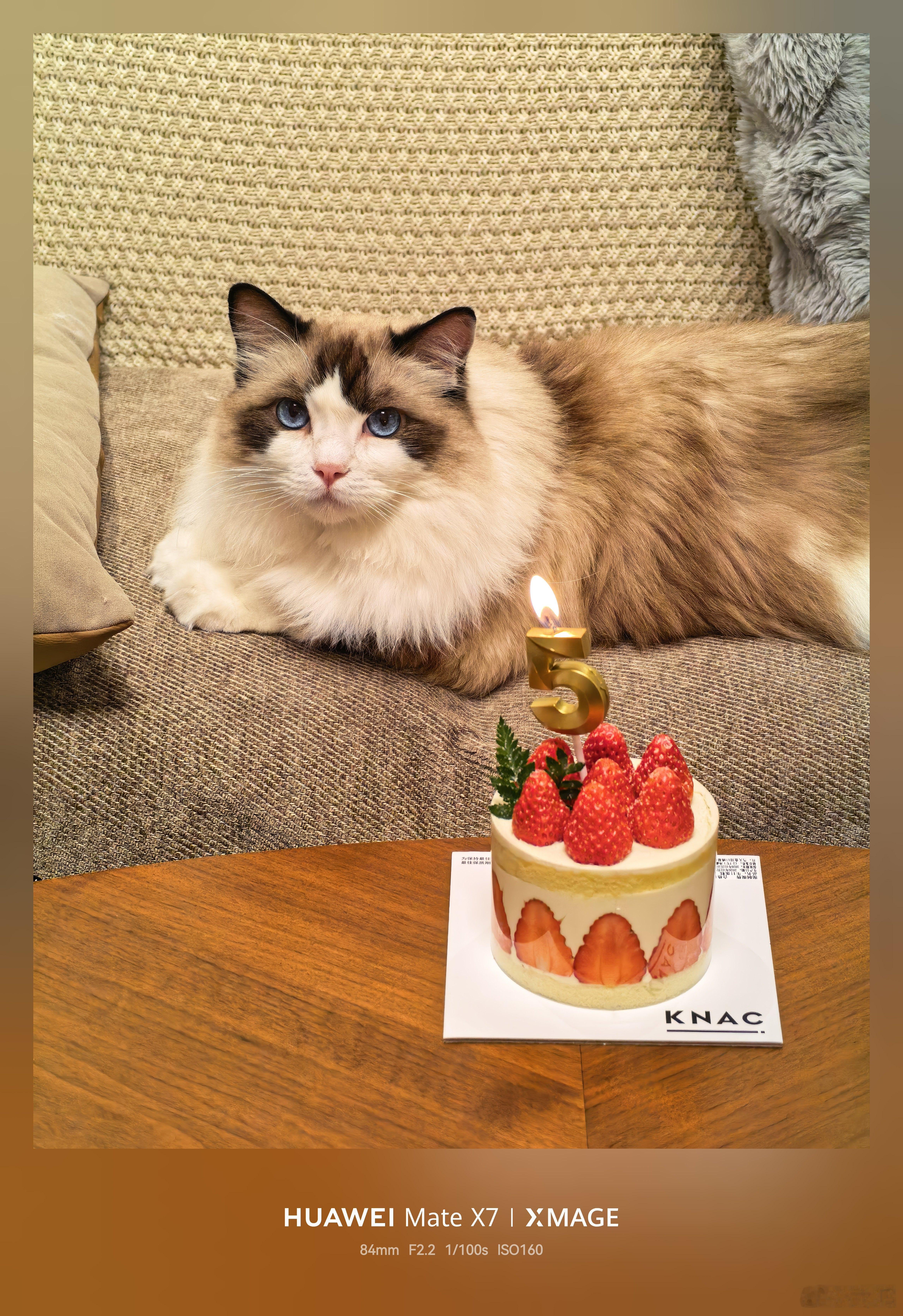 我的筼筜五岁咯。