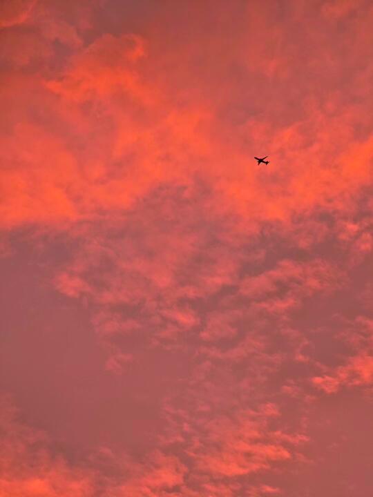 live📍南京6月27日暴雨后的粉色晚霞美哭