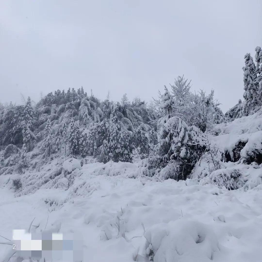 #天南地北大拜年# 一起领红包>今天是12月23日，是北方有佳人小年，明天日12