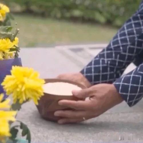 袁老爷子，您的墓碑前，有一碗非洲农民送来的大米。诺贝尔奖配不上您，国际该给您设立