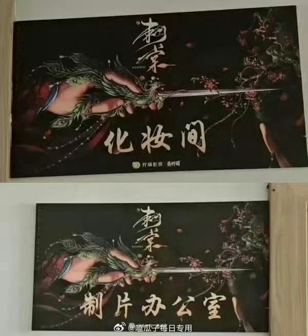 《刺棠》网传海报被热议女主中心，张凌赫、卢昱晓或将合作该剧，大家怎么看？ 