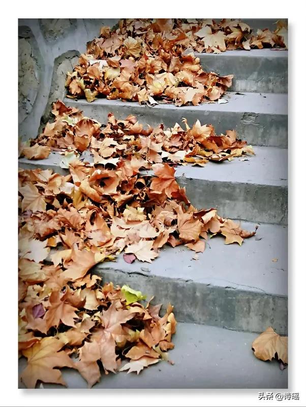 看到“秋乘落叶去”上联
意境特别动人
它将秋天拟人化
让秋乘落叶离去
画面感跃然