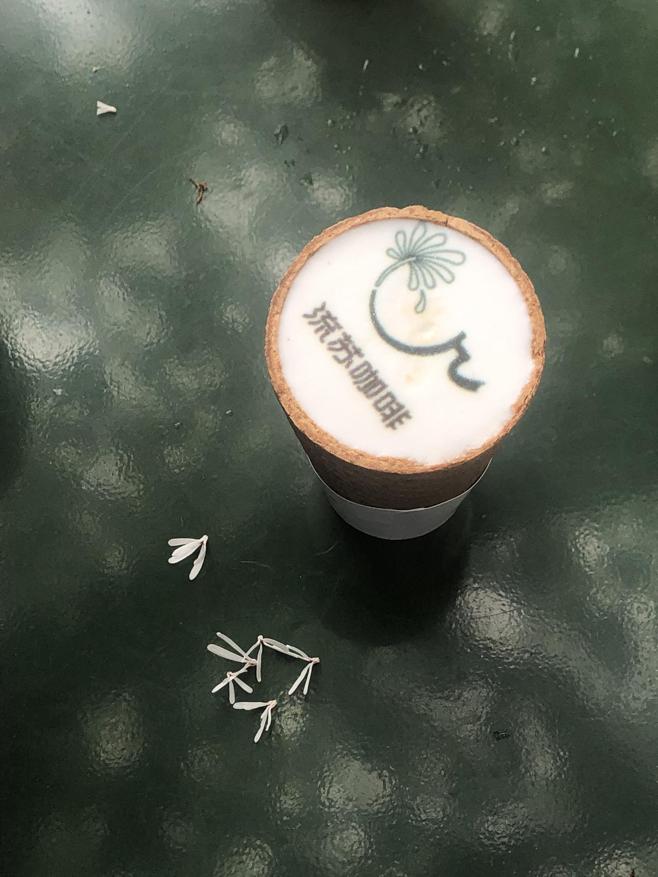 “宫巷，流苏，咖啡。
味道如何已经不再重要，
在这一树如雪的纯白下坐一坐，
不喝