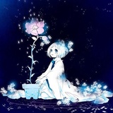 逐星聚聚娱乐
