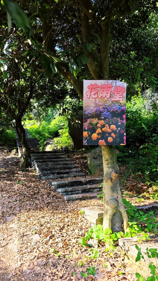 不在云南，在厦门海沧的花雨堂，美到不真实