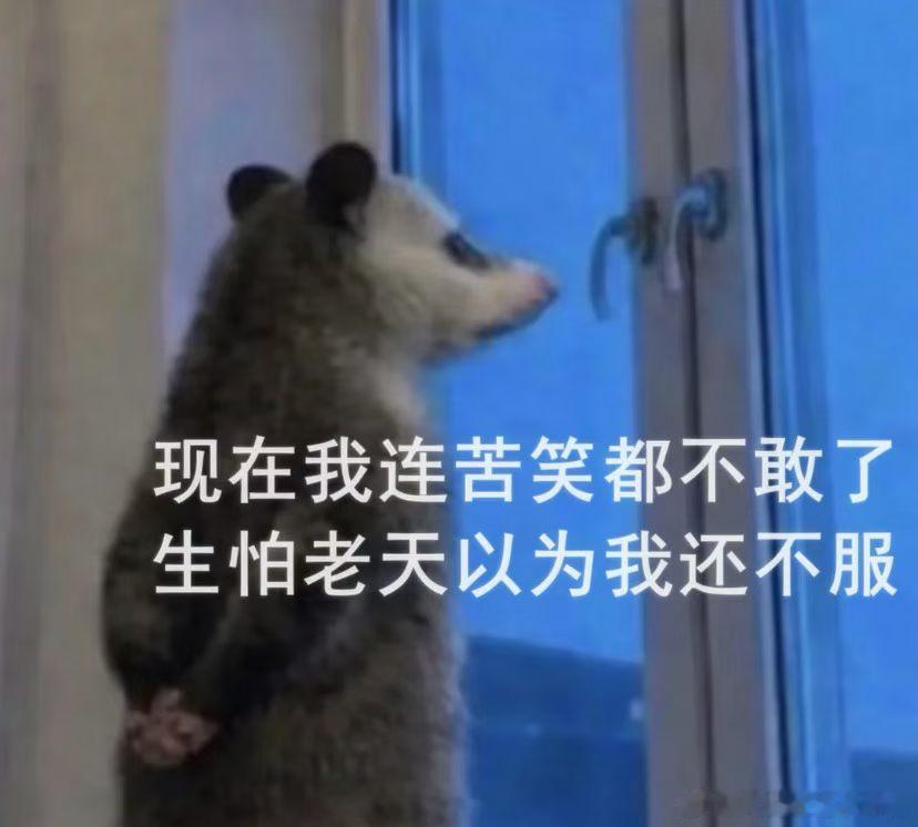 每天没有别的感受只有我好热 