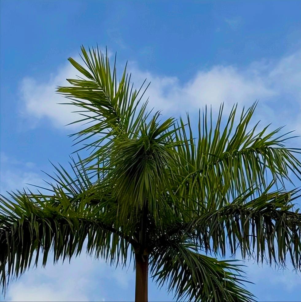 水力学及河流动力学工学硕士陈敏履新
 
12月11日，今年54岁的陈敏硕士履新。